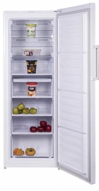 Beko RFNE290L21W