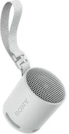 Sony SRS-XB100 Grey (SRSXB100H.CE7)