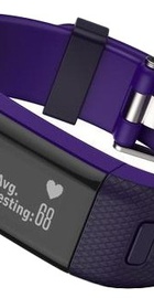 Garmin vivosmart HR+ Purple, Regular (010-01955-43)