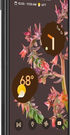 Google Pixel 6 8/256GB Stormy Black