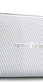 Harman/Kardon Esquire 2 Grey