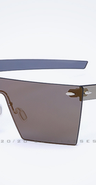 20/20 Brand Vintage Sunglasses Flat Lens Gold Revo (model 1604)