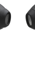 JBL Tune Flex 2 Ghost Black (JBLTFLEX2GBLK)