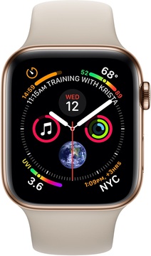 Apple Watch Series 4 GPS + Cellular 40mm Gold Stainless Steel Case with Stone Sport Band (MTUR2, MTVN2)