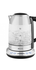ECG RK 1781 Glass