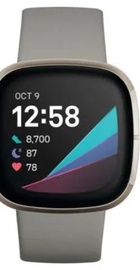 Fitbit Sense Silver Sage Grey (FB512SRSG)