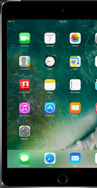 Apple iPad mini 4 Wi-Fi + Cellular 32GB Space Gray (MNWP2, MNWE2R)