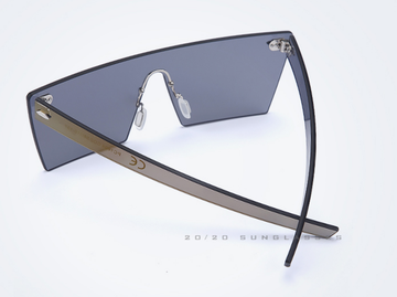 20/20 Brand Vintage Sunglasses Flat Lens Gold Revo (model 1604)