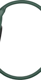 Garmin Vivoactive 6 Metallic Jasper Green with Jasper Green Band (010-02985-02)