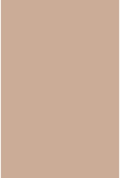 Savage Widetone Pecan 2.72m x 11m
