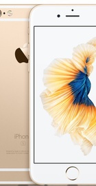 Apple iPhone 6s 16GB Gold (MKQL2) Refurbished