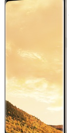 Samsung Galaxy S8 Plus 64Gb (SM-G955FZDDSEK) Maple Gold