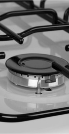 Fiesta G 5403 S-W