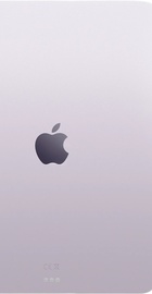 Apple iPad Air 13 2026 Wi-Fi + Cellular 1TB Purple (MH9V4)