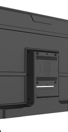 ERGO 55DUS6000