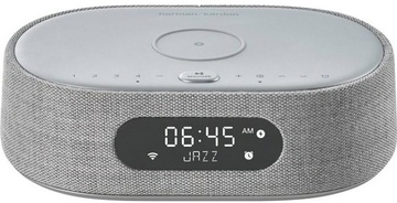 Harman-KardonАкустические колонки Harman/Kardon Citation Oasis Grey (HKCITAOASISGRYEU)