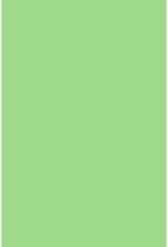 Savage Widetone Mint Green 2.72m x 11m