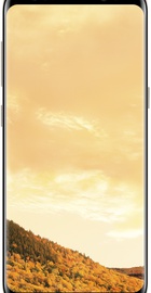 Samsung Galaxy S8 Plus 64Gb (SM-G955FZDDSEK) Maple Gold