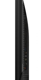 TCL 43C655