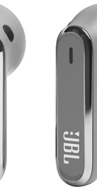 JBL Live Flex Silver (JBLLIVEFLEXSVR)