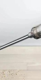 Dyson V12 Origin Nickel (492711-01)