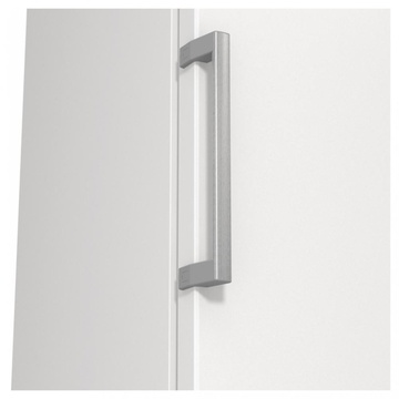 Gorenje FN619EEW5