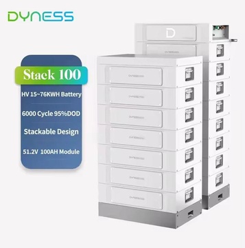 Dyness LiFePO4 S51100 51.2V 100Ah 5.12kWh
