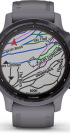Garmin Fenix 6S Pro Solar Edition Amethyst Steel with Shale Gray Band (010-02409-15)