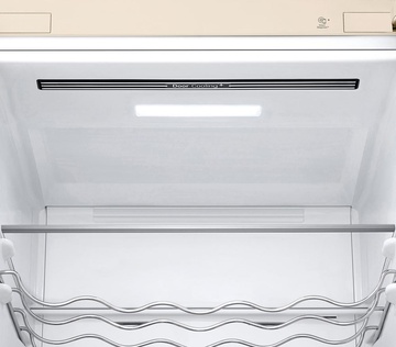 LG GC-B509FEMW