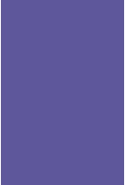 Savage Widetone Purple 2.72m x 11m