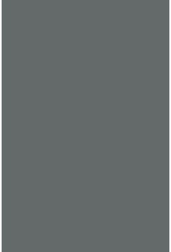 Savage Widetone Charcoal 2.72m x 11m