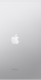Apple iPad Pro 13 2024 Wi-Fi + Cellular 2TB Silver with Nano-texture Glass (MWT23)