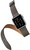 Apple Watch Hermes Double Tour 38mm with Etain Leather Band