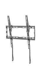 KIVI Basic-44T