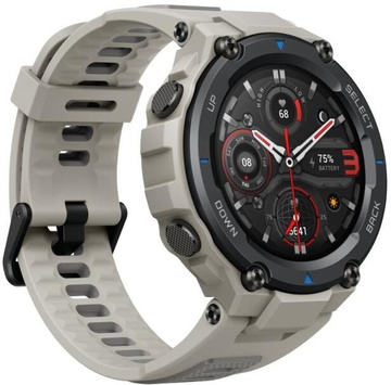 Amazfit T-Rex Pro Desert Grey