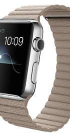 Apple Watch 42mm Stainless Steel Case with Stone Leather Loop (MJ432)