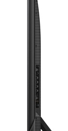 TCL 55C805