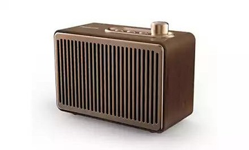 Philips TAVS300 4W Wireless