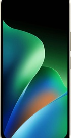 Xiaomi Redmi 17 4/256GB Oak Green
