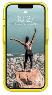 URBAN ARMOR GEAR iPhone 13 Dip Acid (11317U317878)