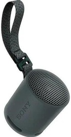 Sony SRS-XB100 Black (SRSXB100B)