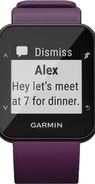 Garmin Forerunner 30 Amethyst (010-01930-05)