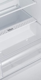 Eleyus RDB 2177 SM