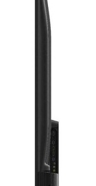TCL 58V6B