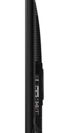TCL 65P81K