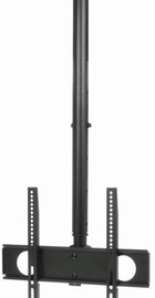 iTech CELB 44R