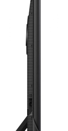 TCL 65MQLED85