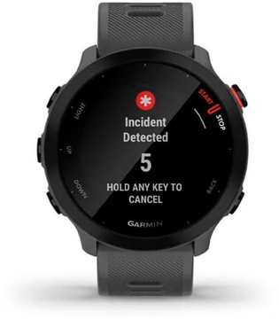 Garmin Forerunner 55 Monterra Grey (010-02562-13) (UA)