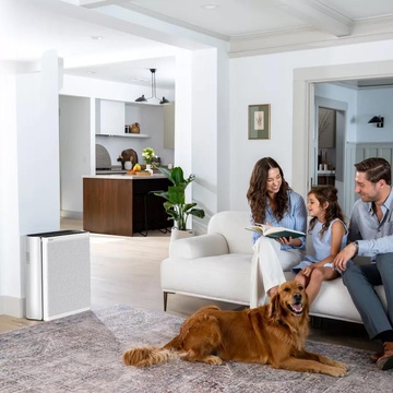 Levoit VeSync EverestAir Smart True HEPA LAP-E551S-AEUR (HEAPAPLVSEU0148Y)