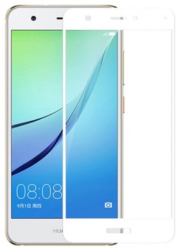 Simple Case 2D Glass for Huawei Nova 2 White